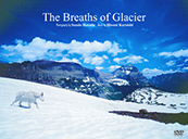 黒石ひとみ　The Breaths of Glacier