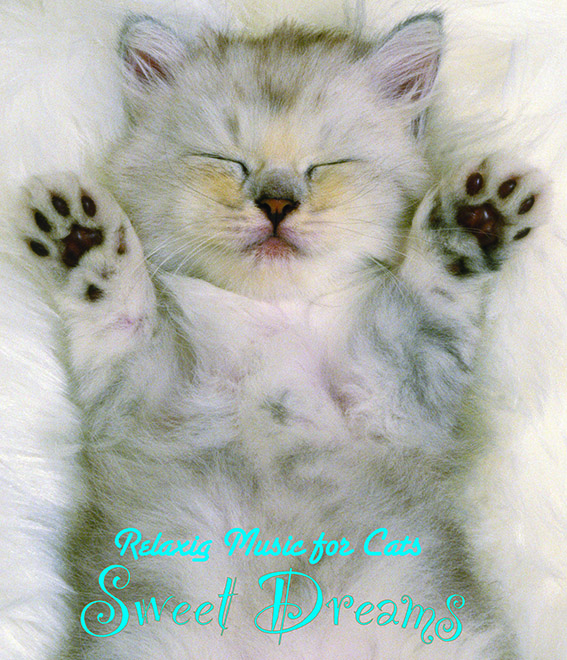 人生はニャンとかなる　Relaxing Music for Cats〜Sweet Dreams
